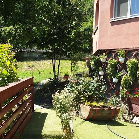 Casa Lorena Sărata-Monteoru Kültér fotó