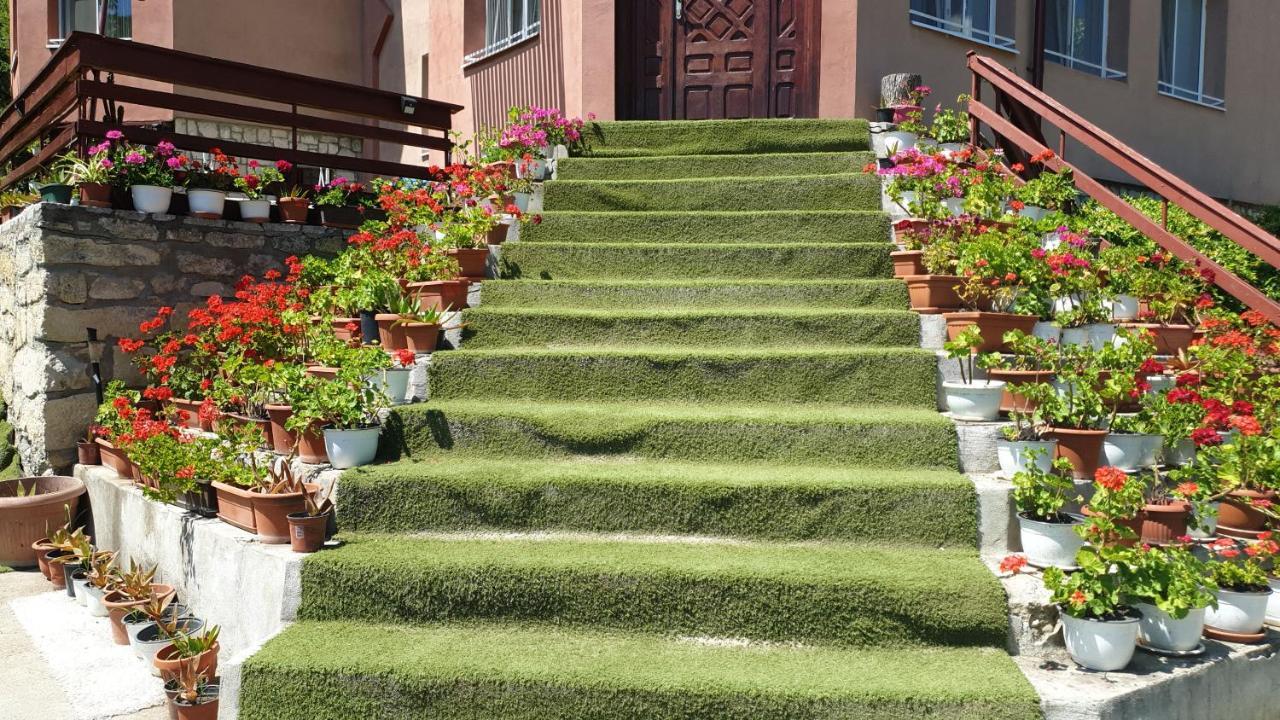 Casa Lorena Sărata-Monteoru Kültér fotó
