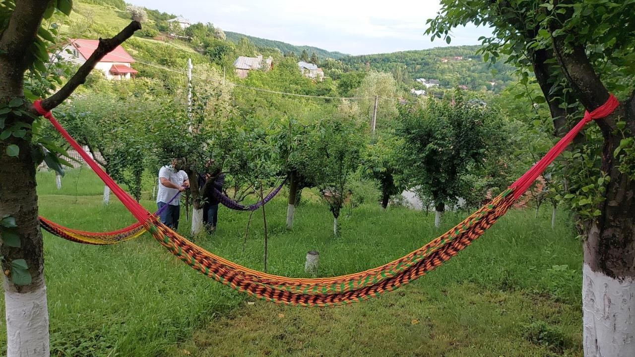 Casa Lorena Sărata-Monteoru Kültér fotó