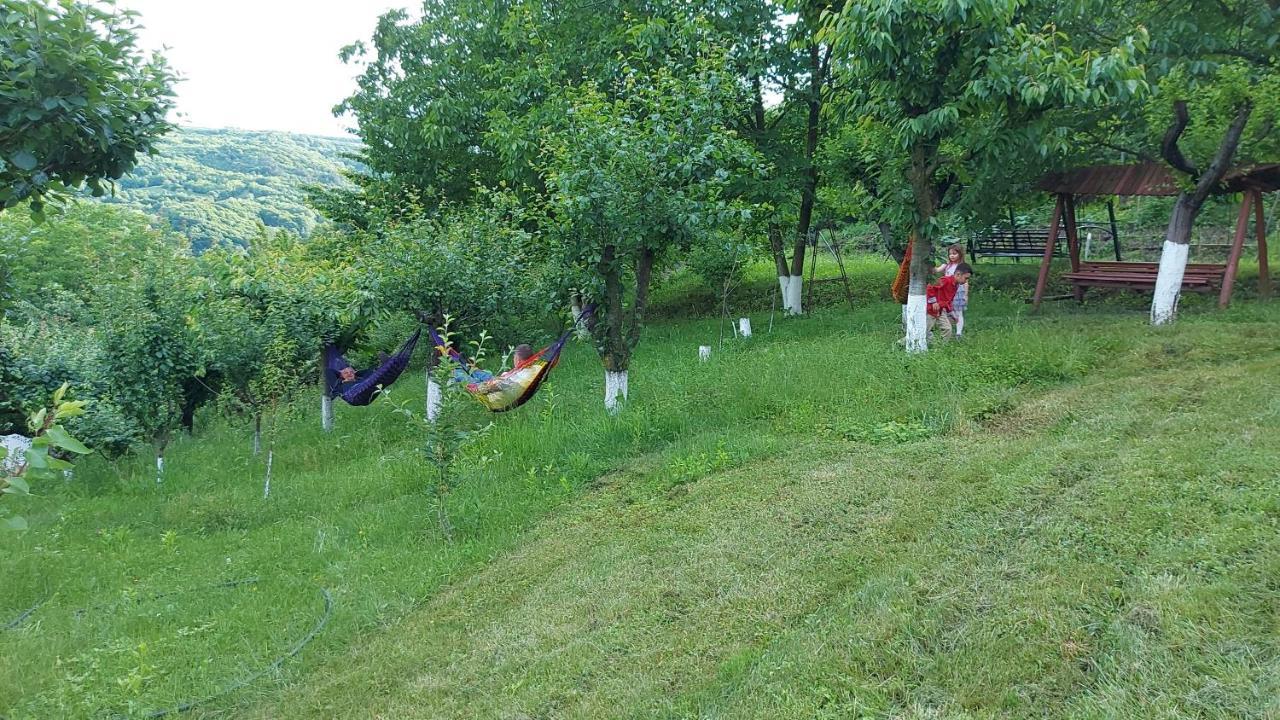 Casa Lorena Sărata-Monteoru Kültér fotó