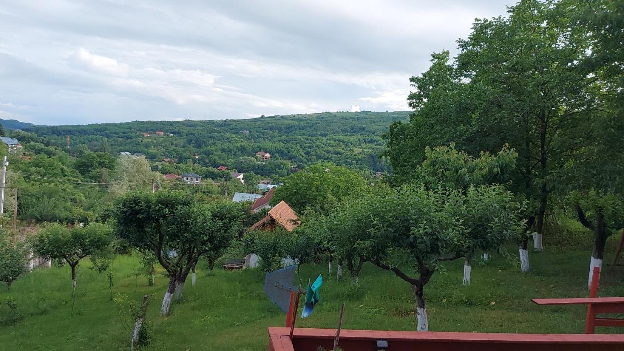 Casa Lorena Sărata-Monteoru Kültér fotó