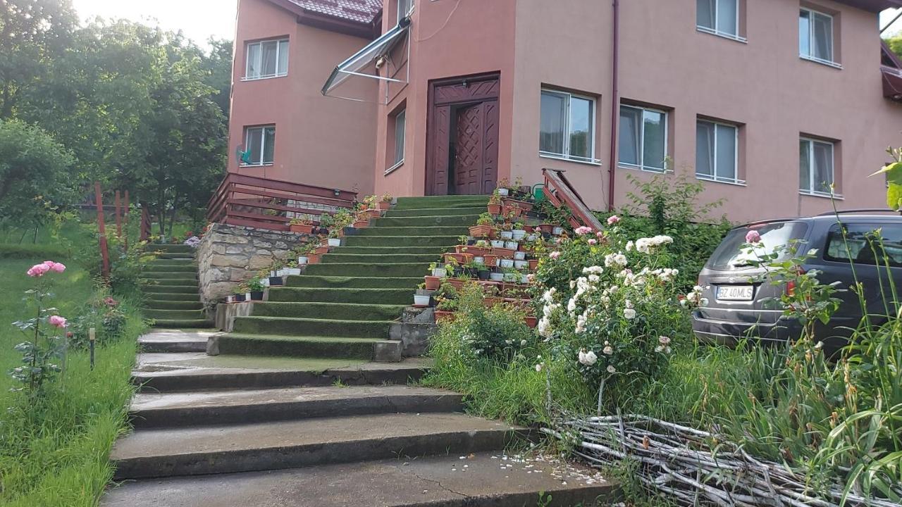 Casa Lorena Sărata-Monteoru Kültér fotó