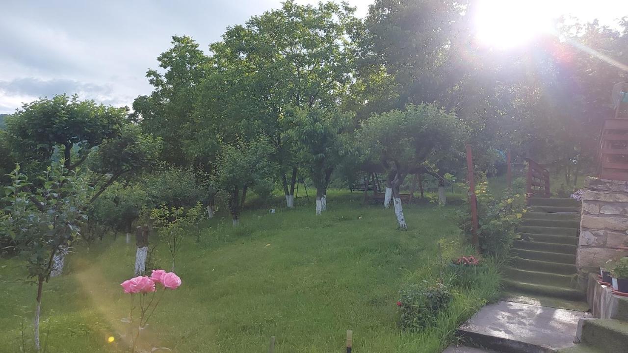 Casa Lorena Sărata-Monteoru Kültér fotó