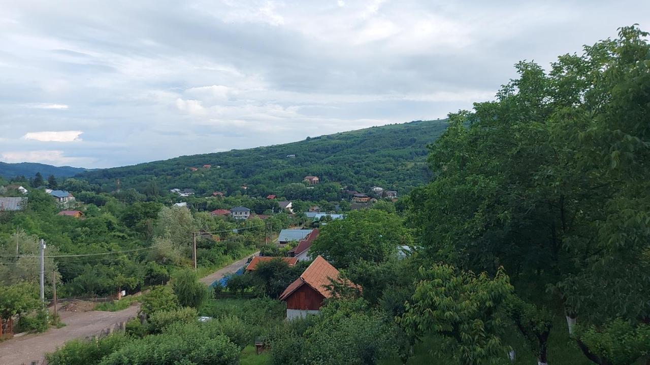 Casa Lorena Sărata-Monteoru Kültér fotó