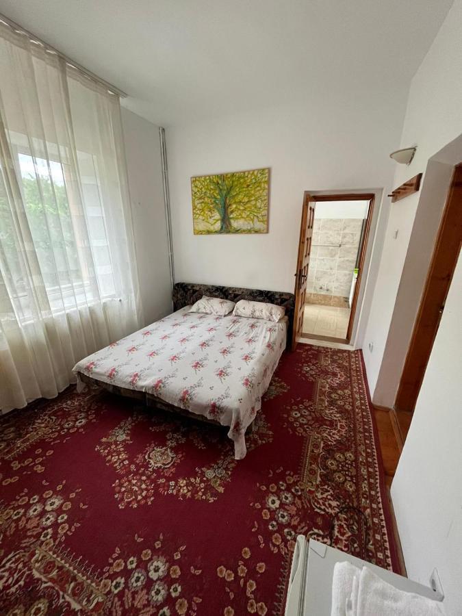 Casa Lorena Sărata-Monteoru Kültér fotó