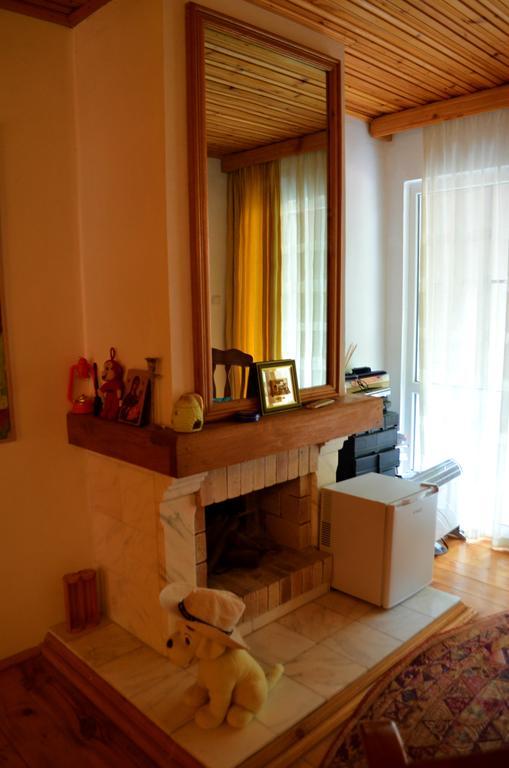 Casa Lorena Sărata-Monteoru Kültér fotó